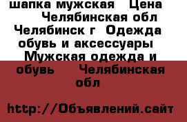 шапка мужская › Цена ­ 500 - Челябинская обл., Челябинск г. Одежда, обувь и аксессуары » Мужская одежда и обувь   . Челябинская обл.